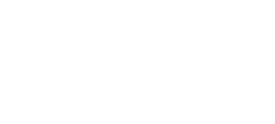 Logo The Wave white
